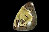 Polished, Crystal Filled Septarian Nodule - Utah #149965-3
